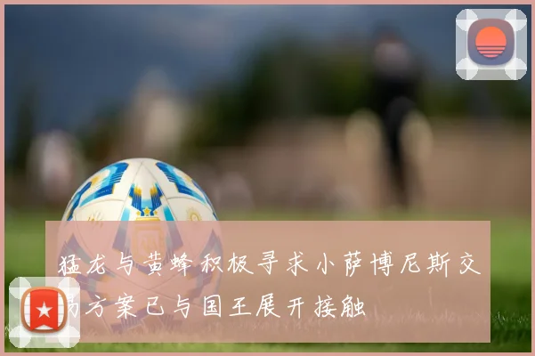 猛龙与黄蜂积极寻求小萨博尼斯交易方案已与国王展开接触