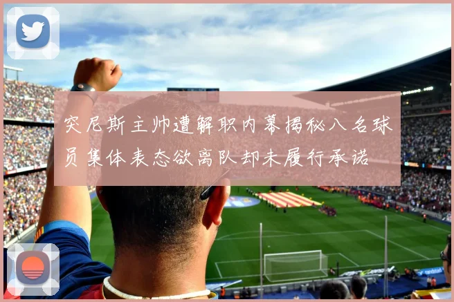 突尼斯主帅遭解职内幕揭秘八名球员集体表态欲离队却未履行承诺
