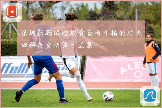 深圳新鹏城迎战青岛海牛精彩对决回顾与分析第十五集